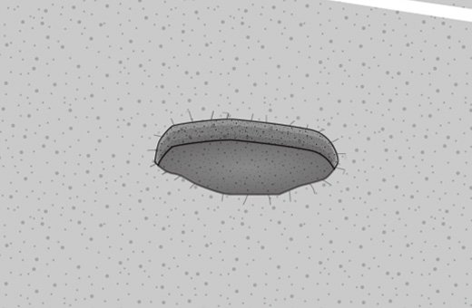 路面が湿潤状態で効果を発揮