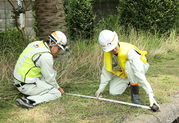 植樹の状況確認の立会